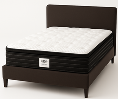 Hilton Hotel Spectra Mattress
